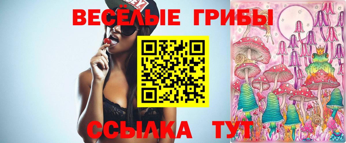 Галлюциногенные грибы Psilocybine cubensis  Вход с VPN  Кингисепп  Галлюциногенные грибы Psilocybe 